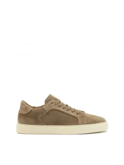Kazar Zamszowe sneakersy w kolorze taupe| Sneakersy|Wszystkie Buty